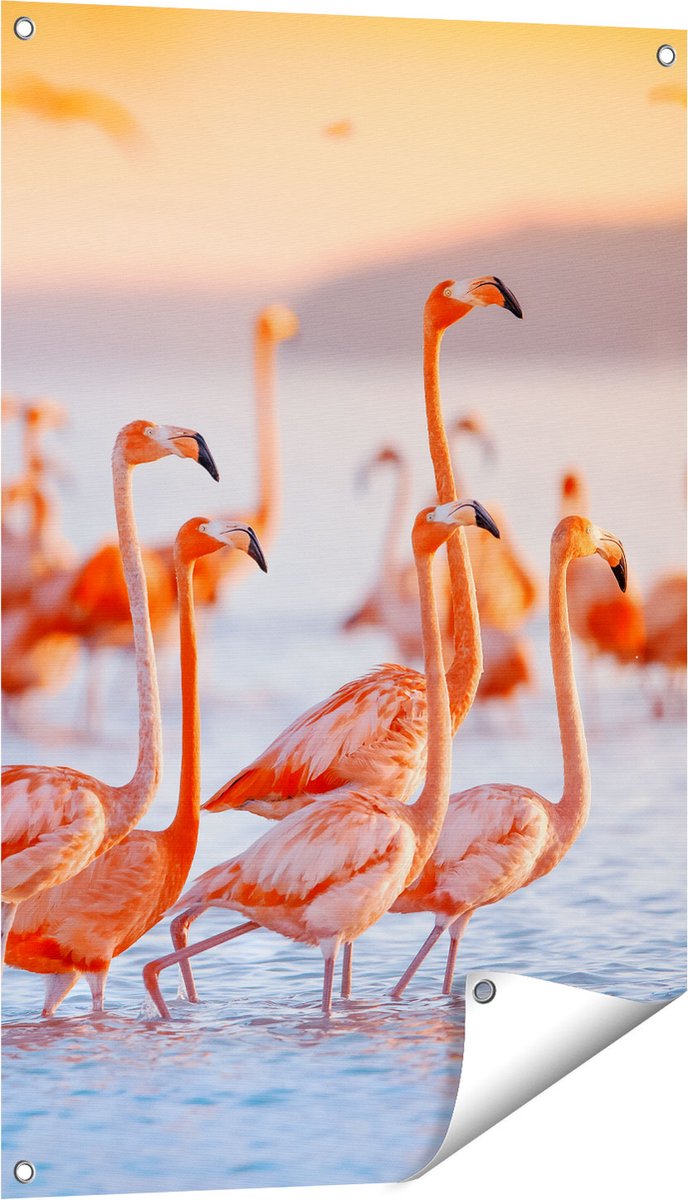 Gards Tuinposter Kudde Flamingo's in het Water - 60x90 cm - Tuindoek - Tuindecoratie - Wanddecoratie buiten - Tuinschilderij Multikleur
