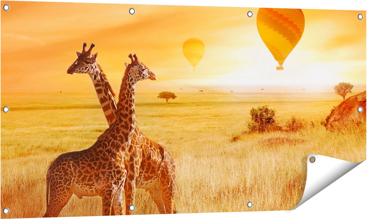 Gards Tuinposter Twee Giraffen met Twee Oranje Luchtballonnen - 120x60 cm - Tuindoek - Tuindecoratie - Wanddecoratie buiten - Tuinschilderij Multikleur