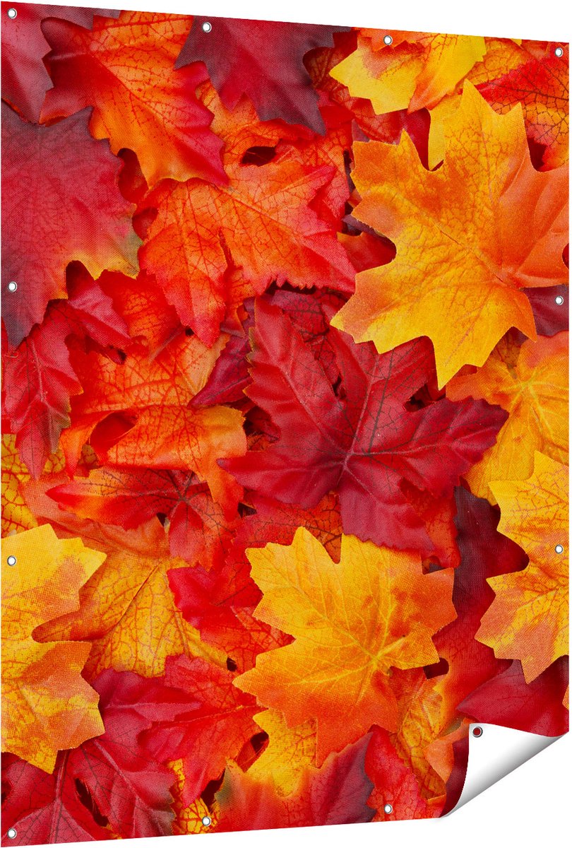 Gards Tuinposter Herfstbladeren in het Oranje en Rood - 120x150 cm - Tuindoek - Tuindecoratie - Wanddecoratie buiten - Tuinschilderij Multikleur