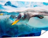 Gards Tuinposter Pingu�n Zwemt onder Water - 150x100 cm - Tuindoek - Tuindecoratie - Wanddecoratie buiten - Tuinschilderij