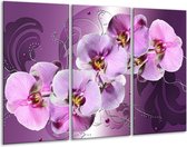 Glasschilderij Orchidee - Paars - 120x80cm 3Luik - Foto Op Glas - Geen Acrylglas Schilderij - GroepArt 6000+ Glas Art Collectie - Maatwerk Mogelijk