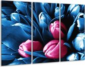 Glasschilderij Tulp - Roze, Blauw - 120x80cm 3Luik - Foto Op Glas - Geen Acrylglas Schilderij - GroepArt 6000+ Glas Art Collectie - Maatwerk Mogelijk