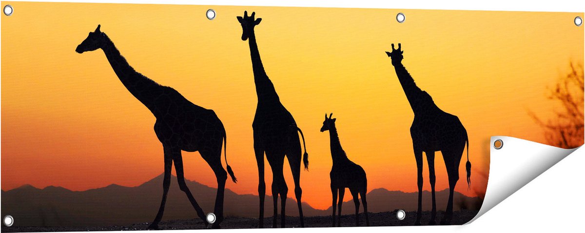 Gards Tuinposter Vier Giraffe Silhouetten bij Zonsondergang - 120x40 cm - Tuindoek - Tuindecoratie - Wanddecoratie buiten - Tuinschilderij Multikleur