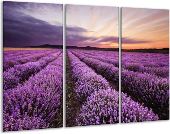 Glasschilderij Lavendel - Paars - 120x80cm 3Luik - Foto Op Glas - Geen Acrylglas Schilderij - GroepArt 6000+ Glas Art Collectie - Maatwerk Mogelijk