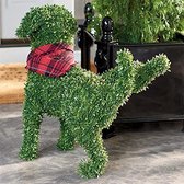 Decoratieve Plas Hond Hond Sculpturen Standbeeld Zonder Ooit Te Snoeien Of Water Te Geven Decoratieve Huisdier Tuin Decoratie