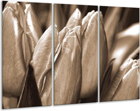 Canvas schilderij Tulpen | Sepia, Bruin | | F001932