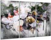 GroepArt - Schilderij -  Orchidee - Wit, Grijs - 120x80cm 3Luik - 6000+ Schilderijen 0p Canvas Art Collectie
