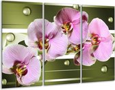Peinture sur toile Orchidée | Vert, violet, rose | 120x80cm 3 Liège
