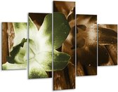 Glasschilderij -  Bloem - Groen, Bruin, Wit - 100x70cm 5Luik - Geen Acrylglas Schilderij - GroepArt 6000+ Glasschilderijen Collectie - Wanddecoratie- Foto Op Glas