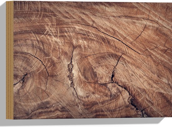 Hout - Close-up van Scheuren in een Boomstam - 40x30 cm - 9 mm dik - Foto op Hout (Met Ophangsysteem)