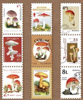 Postzegel Tape - Paddenstoelen - Washi tape Mushrooms - Tape in postzegelvorm - Leuk voor oa. Bulletjournal, Scrapbooking, Agenda's en Kaarten maken