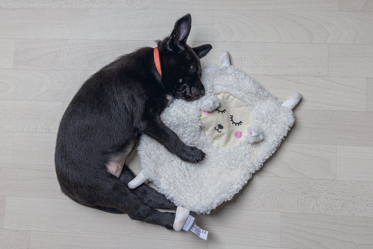 Beeztees Puppy Sjiepo - Puppy Speelgoed thumbnail 5