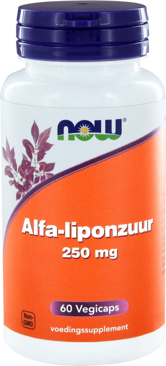 Goedkoopste Alpha Lipoic Acid 250Mg Now