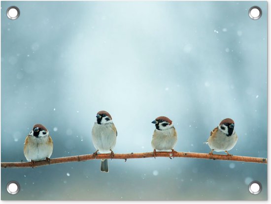 Tuinposter vogels - Mus - Dieren - Sneeuw - Natuur - Winter - Schutting decoratie - Tuin - Schuttingdoek - 40x30 cm - Tuindoek - Tuindecoratie - Tuinschilderij voor buiten - Buitenposter