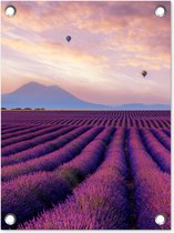 Tuinposter lavendel - Bloemen - Luchtballon - Paars - Landschap - Tuindecoratie - Tuinschilderij voor buiten - 30x40 cm - Schutting decoratie - Schuttingdoek - Tuin - Tuindoek - Buitenposter