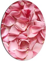 Dibond Ovaal - Roze Bladeren van Dichtbij - 42x56 cm Foto op Ovaal (Met Ophangsysteem)