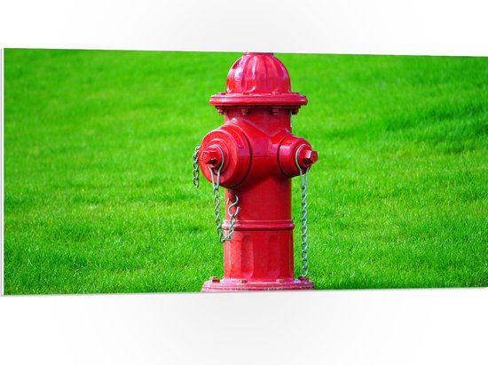 PVC Schuimplaat - Rode Brandweerpaal in Groen Gras - 100x50 cm Foto op PVC Schuimplaat (Met Ophangsysteem)