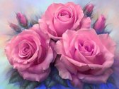 Diamond painting de luxe 40x50cm - Roze rozen