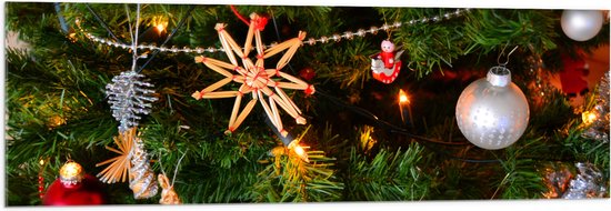 Acrylglas - Verschillende Ornamenten en Kerstballen in Kerstboom - 120x40 cm Foto op Acrylglas (Met Ophangsysteem)