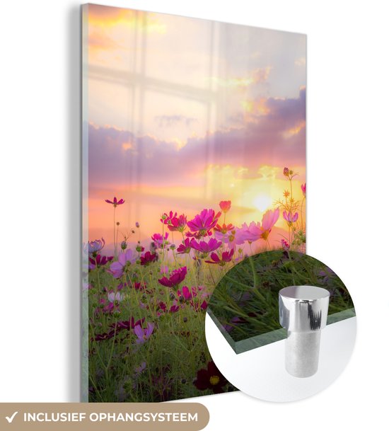 MuchoWow® Glasschilderij 30x40 cm - Schilderij acrylglas - Zonsondergang - Bloemen - Roze - Natuur - Groen - Foto op glas - Schilderijen