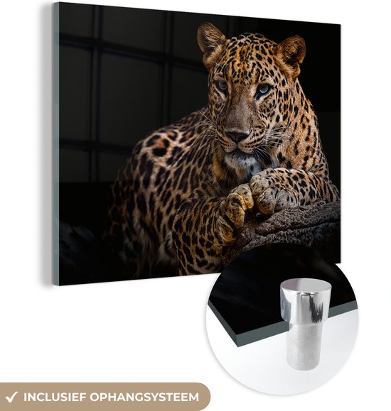 Glasschilderij luipaard - Boomstam - Dieren - Portret - Wanddecoratie - Woonkamer - 80x60 cm - Schilderij glas - Foto op glas - Woonaccessoires - Muurdecoratie - Glasplaat