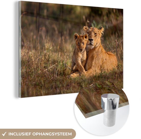 MuchoWow® Glasschilderij 60x40 cm - Schilderij acrylglas - Wilde dieren - Licht - Portret - Foto op glas - Schilderijen