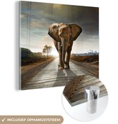 Glasschilderij olifant - Dieren - Weg - Bomen - Foto op glas - Schilderij glas - Kamer decoratie - 50x50 cm - Slaapkamer - Muurdecoratie glas