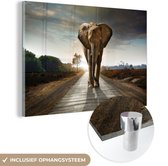 Glasschilderij olifant - Dieren - Weg - Bomen - Foto op glas - Schilderij glas - Kamer decoratie - Woonkamer - 120x80 cm - Slaapkamer - Muurdecoratie glas - Wanddecoratie - Glasplaat