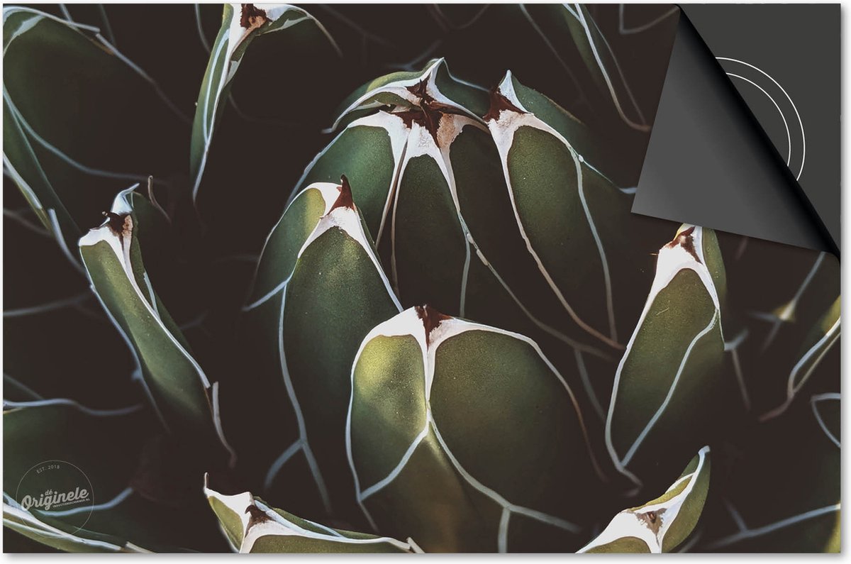 Inductie beschermer 81x52 - afdekplaat inductie mat - Dietrix Kookplaat beschermer - Base - Leaves - 21 Wit en groene plant