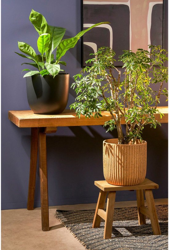 Een grote zwarte keramieken bloempot met een plant staat op een houten tafel.