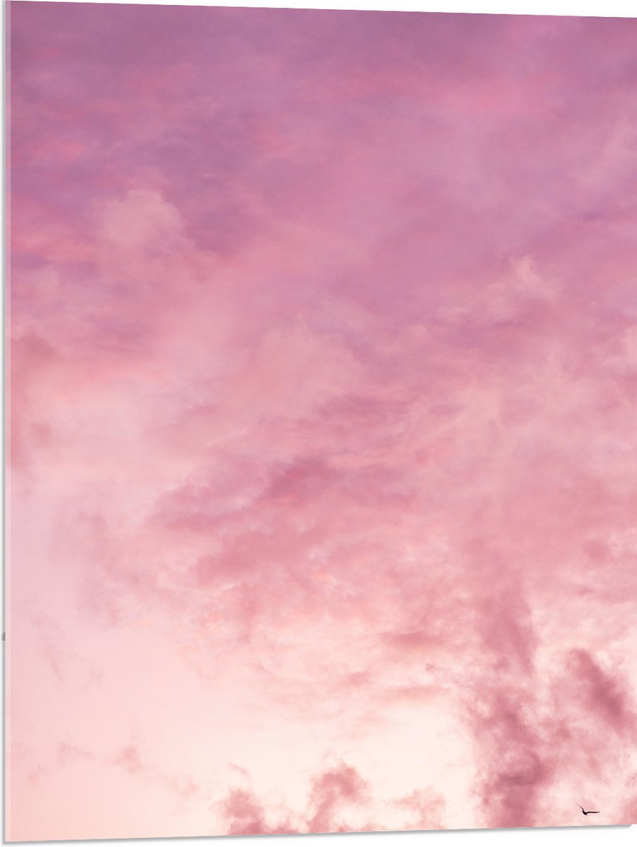 Acrylglas - Zachtroze Lucht met Sluierbewolking - 60x80 cm Foto op Acrylglas (Wanddecoratie op Acrylaat)