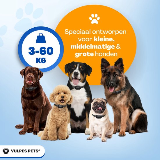 Vijf honden van verschillende rassen en maten, allen met een Vulpes Pets anti-blaf halsband. Geschikt voor honden van 3-60 kg.