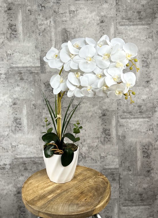 Orchidee - Phalaenopsis - Wit/Geel - Kunstplant - H 62 cm Ø 45 cm - Dromist