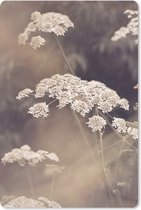Muismat - Mousepad - Plant - Wit - Natuur - Bloemen - 40x60 cm - Muismatten