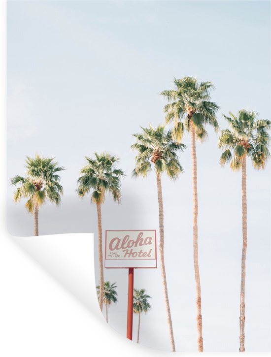 Muurstickers - Sticker Folie - Palmbomen - Zomer - Natuur - Lucht - 60x80 cm - Plakfolie - Muurstickers Kinderkamer - Zelfklevend Behang - Zelfklevend behangpapier - Stickerfolie