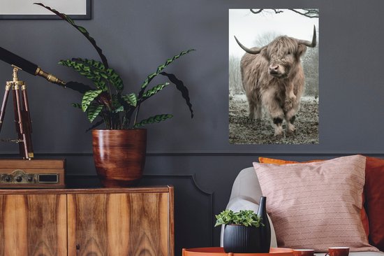 Stickers muraux - Film autocollant - Highlander écossais - Forêt - Brouillard - Vache - Animaux - Nature - 40x60 cm - Film adhésif - Stickers muraux Chambre d'enfant - Papier peint autocollant