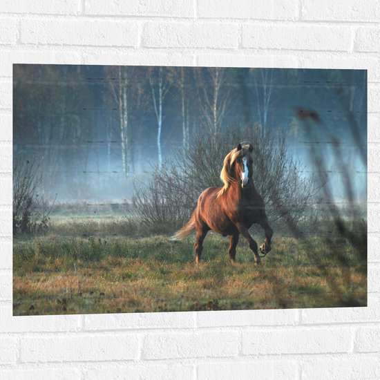 Muursticker - Rennend Bruin Paard door Duinen - 80x60 cm Foto op Muursticker