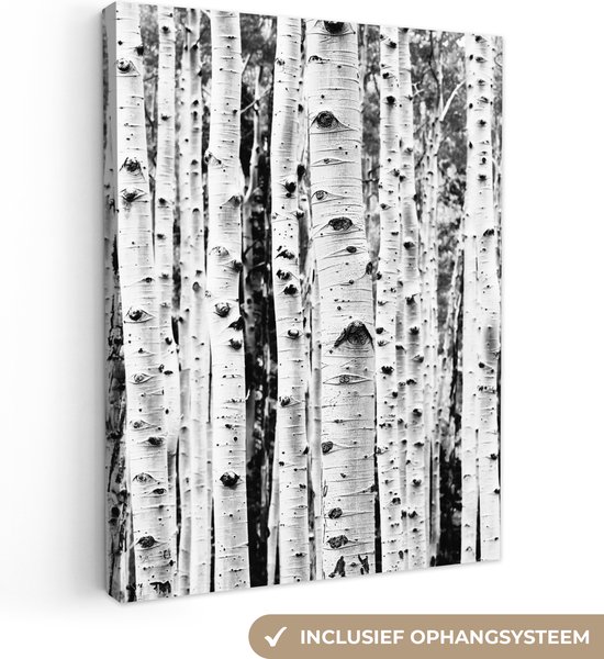Canvas Schilderij Bomen - Hout - Zwart wit - Natuur - 90x120 cm - Wanddecoratie
