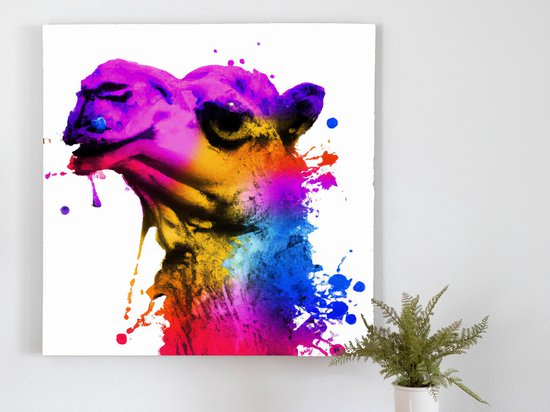 Crazy Camel Colors kunst - 30x30 centimeter op Canvas | Foto op Canvas - wanddecoratie