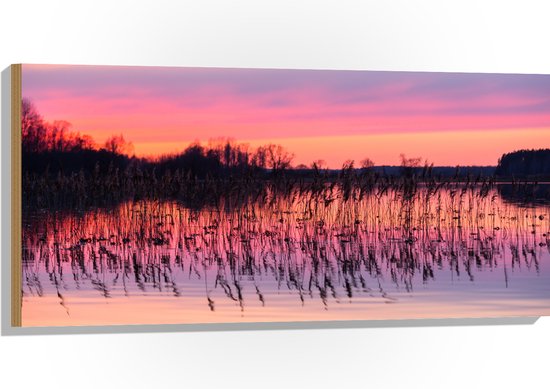 Hout - Rozekleurige Lucht boven Meer met Waterplanten - 100x50 cm - 9 mm dik - Foto op Hout (Met Ophangsysteem)