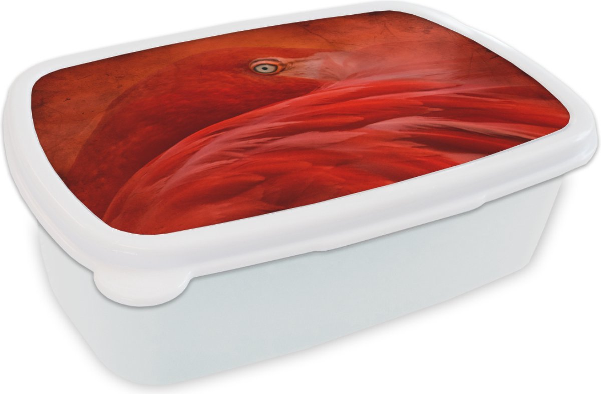 Broodtrommel Wit - Lunchbox - Brooddoos - Tropisch - Vogel - Rood - Dieren - 18x12x6 cm - Volwassenen