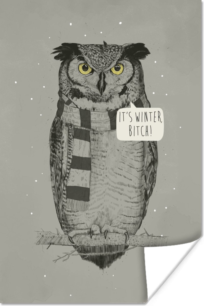 Poster Uil - Winter - Sjaal - Nacht - 60x90 cm