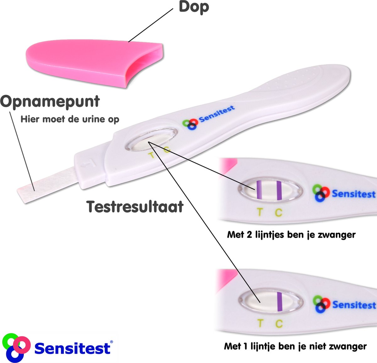 Sensitest Zwangerschapstest Midstream – 24 stuks – 10 mIU/ml – Test vanaf 6 dagen vóór menstruatie – Uitslag in 5 minuten – Inclusief handleiding & zwangerschapskalender – foto 4