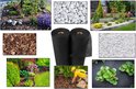 Un jardin avec des fleurs, des plantes, des pierres et de l'écorce d'arbre.