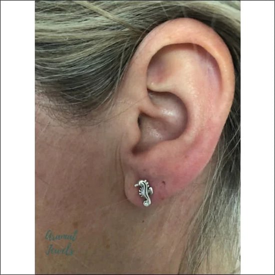 Aramat jewels ® - 925 sterling zilveren oorbellen zeepaardje glitter