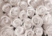 Fotobehang Flowers Roses | XXXL - 416cm x 254cm | 130g/m2 Vlies
