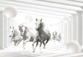 Fotobehang Horses White Spheres | XL - 208cm x 146cm | 130g/m2 Vlies