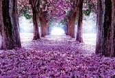 Fotobehang Flowers Tree Path Purple | XXL - 312cm x 219cm | 130g/m2 Vlies