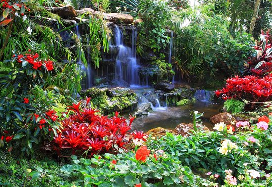 Fotobehang Waterfall Forest Nature | PANORAMIC - 250cm x 104cm | 130g/m2 Vlies