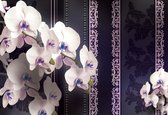 Fotobehang Flowers Floral Orchids Pattern | XXXL - 416cm x 254cm | 130g/m2 Vlies